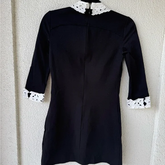 Ted Baker London Currie Lace Collar Tunic - Picture 5 of 5